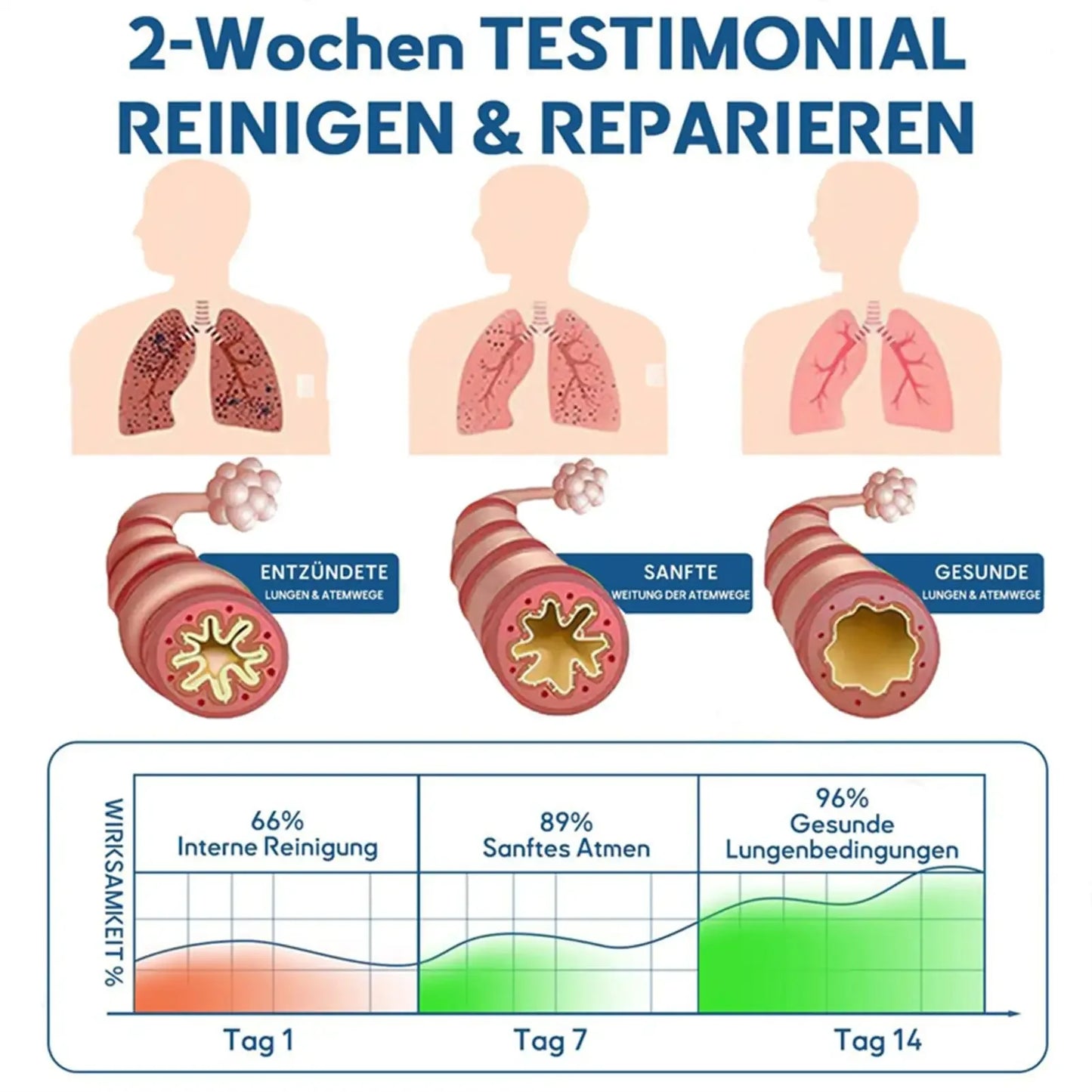 Portable Lung Cleansing Patch Respiratory Health Tapes Respiratory Support Patches For Travel Business Work Health Care Supplies - Rami Wellness Talk